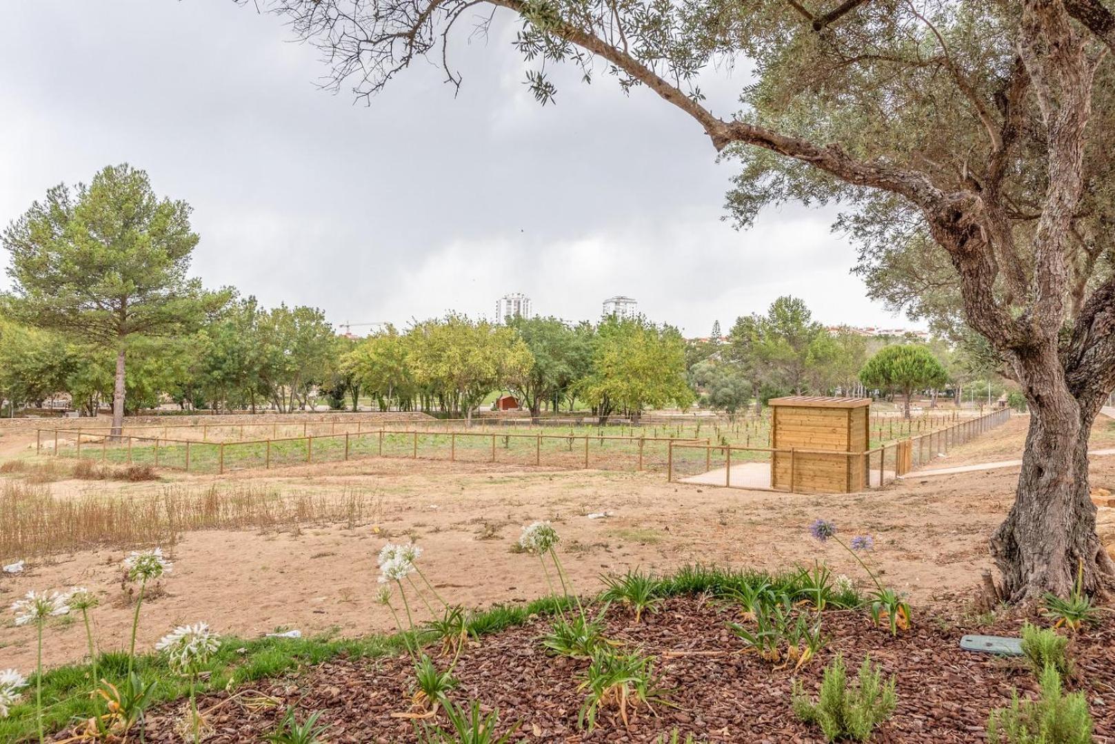 Guestready - Peaceful 1 Bedroom Abode In Estoril Exteriör bild